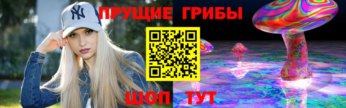 Псилоцибиновые грибы мицелий Похвистнево